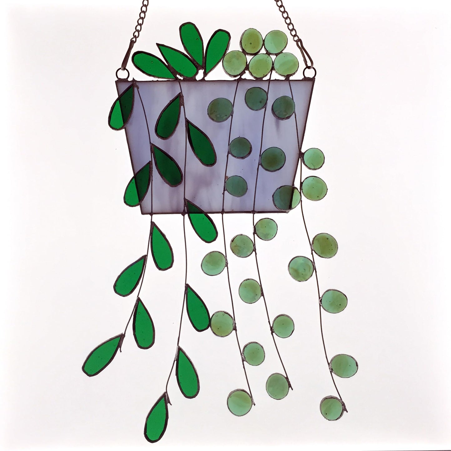 Galag Stained Glass Window Hanging - Suncatcher Stained Glass Kit Sun Catchers Indoor Window Stained Glass Plant | String of Pearls String of Tears