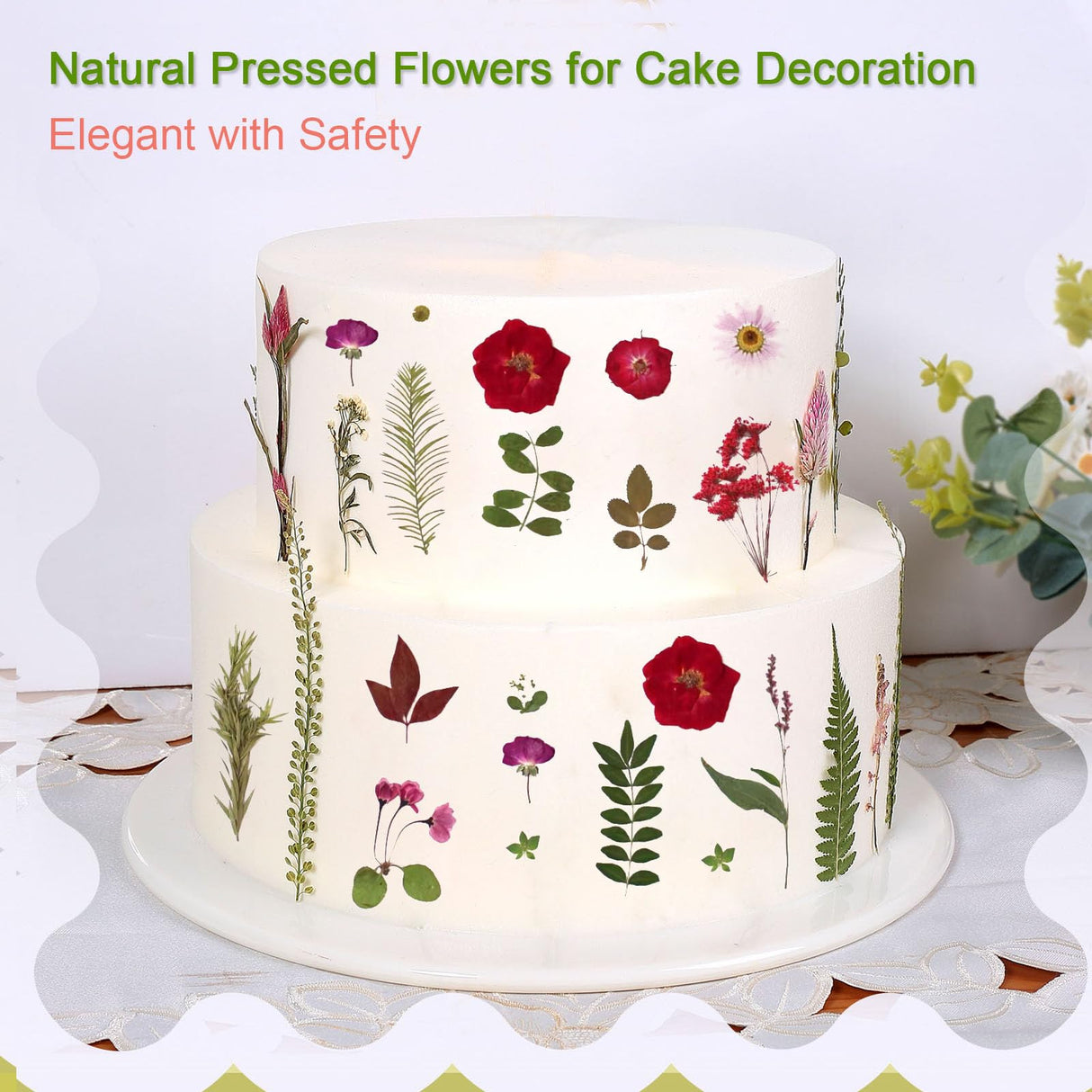 A5 Large Bulk Christmas Dried Pressed Flowers for Christmas Decor, Real Dry Natural Flower Leaf Daisy for Resin Mold, Cake Decor, Phone Cases ( ZMRU