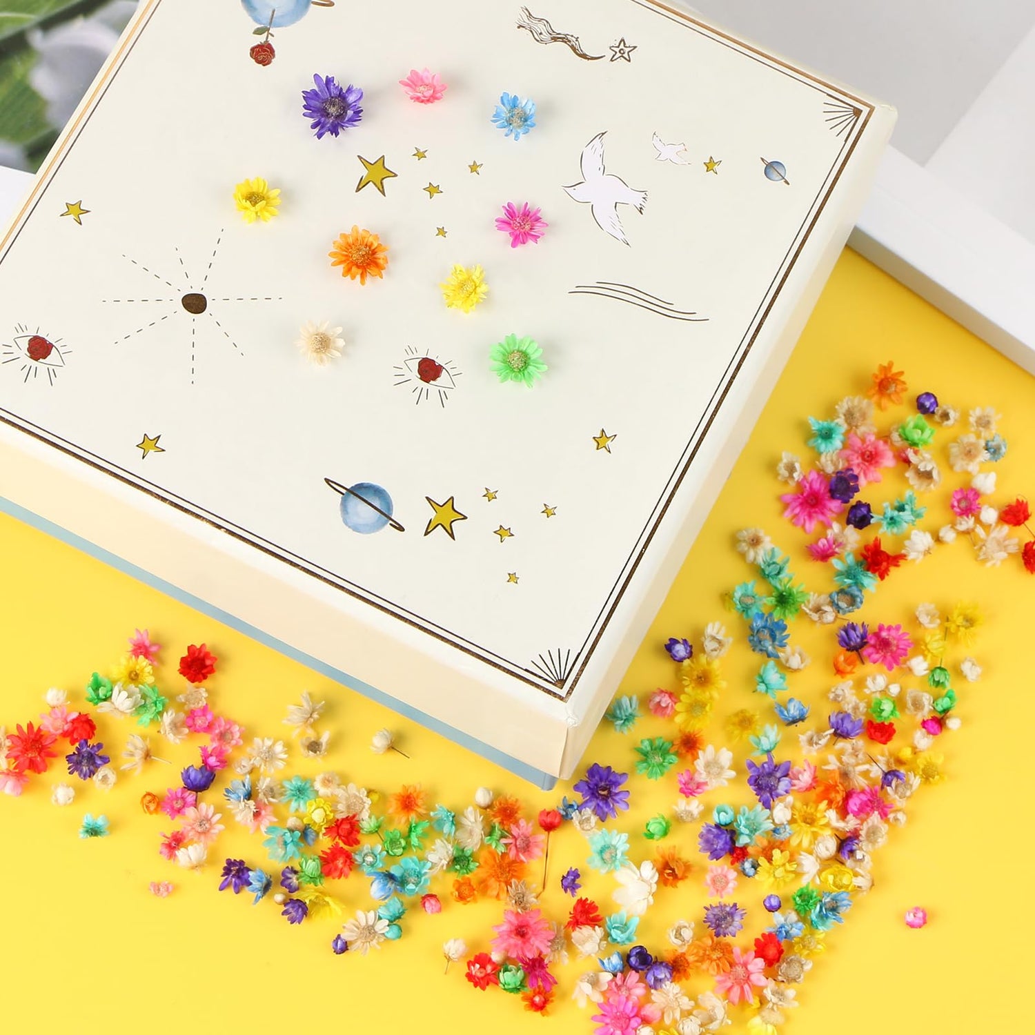 MIDELONG 200 PCS Small Dried Flowers for Crafts Resin, Colorful Dried Flowers for Nails, Natural Real Tiny Dried Pressed Flowers for Jewelry Earrings MIDELONG