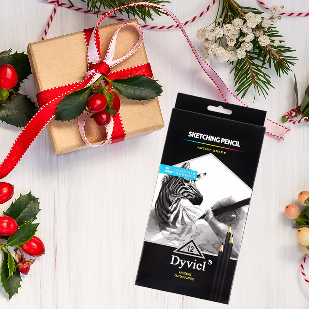 Dyvicl Professional Drawing Sketching Pencil Set - 12 Pieces Drawing Pencils 10B, 8B, 6B, 5B, 4B, 3B, 2B, B, HB, 2H, 4H, 6H Graphite Pencils for Dyvicl