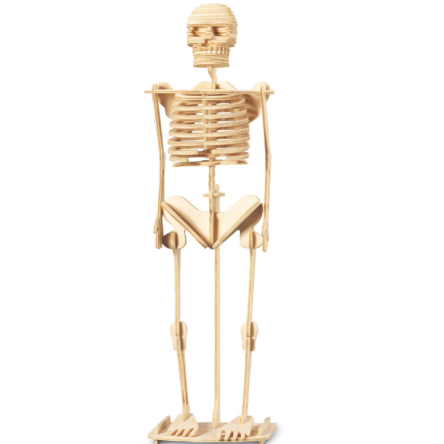 Puzzled 3D Puzzle Human Skeleton Wood Craft Construction Model Kit, Fun & Educational DIY Wooden Toy Assemble Model Unfinished Crafting Hobby Puzzle Puzzled