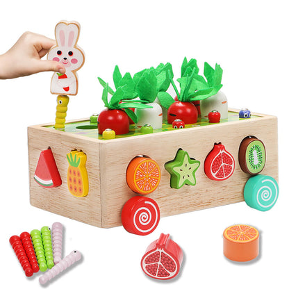 Montessori Wooden Educational Toys for 1 2 3 4 Year Old Baby Boys Girls, Wood Carrot Harvest Orchard Car Shape Sorting Toys 1st Birthday Gifts for