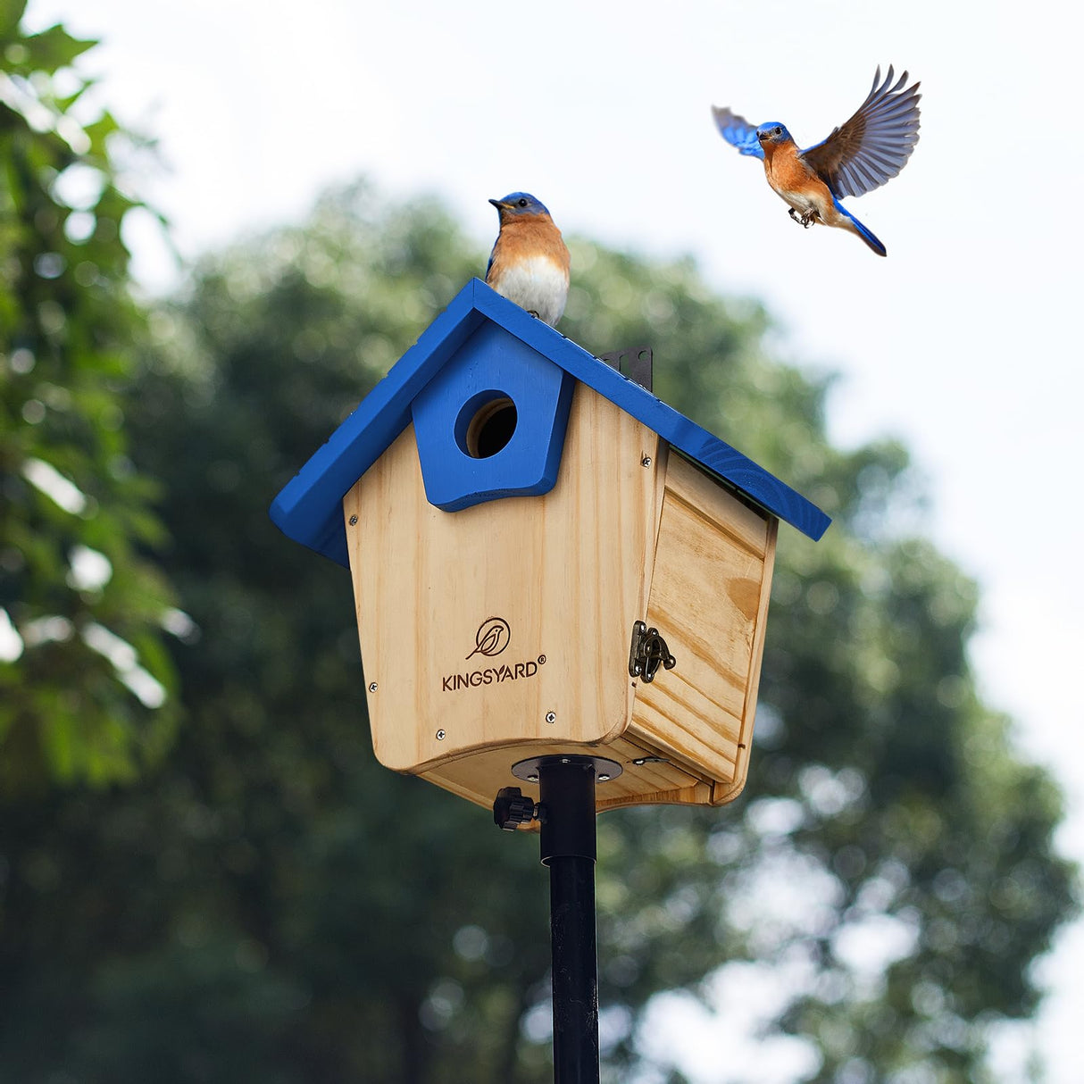 Kingsyard Wooden Bluebird House, Bird House with Predator Guard, Nesting Box Birdhouse for Outside Wild Bird Watching, Royal Blue Kingsyard