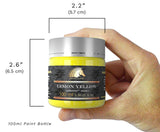 MyArtscape Acrylic Paint Set - 12 x 100ml Bottles - Artist Quality Paints - Lightfast - Heavy Body - Highly Pigmented Colors with Great Coverage - MyArtscape