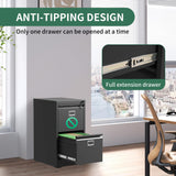 VIYET 2 Drawer and 3 Drawer File Cabinet,Metal Vertical File Cabinets with Lock for Home Office,Heavy Duty Office Steel Filing Cabinet for Hanging VIYET
