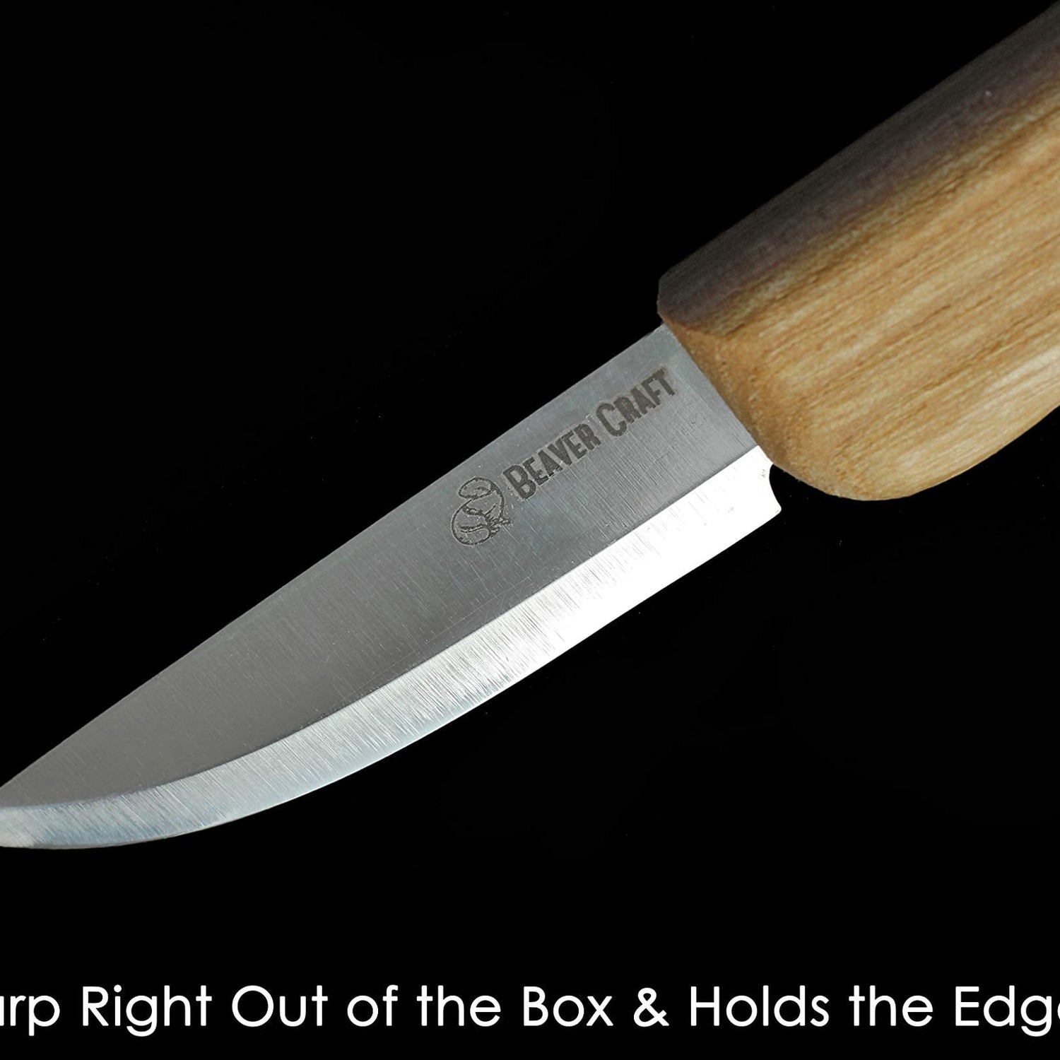 BeaverCraft, Whittling Knife C1M - Small Sloyd Knife - Wood Carving Knives Tools for Beginners - Carbon Steel Scandi Grind Blade - Beginners BeaverCraft