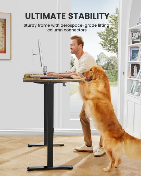 ErGear Height Adjustable Electric Standing Desk, 48 x 24 Inches Sit Stand up Desk, Memory Computer Home Office Desk (Vintage Brown) ErGear