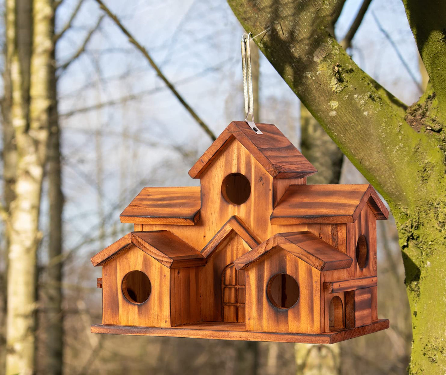 COLEBA Bird Houses for Outside,Outdoor 5 Hole Bird House Room for 5 Bird Families Bluebird Finch Cardinals Hanging Birdhouse for Garden (Brown - Set