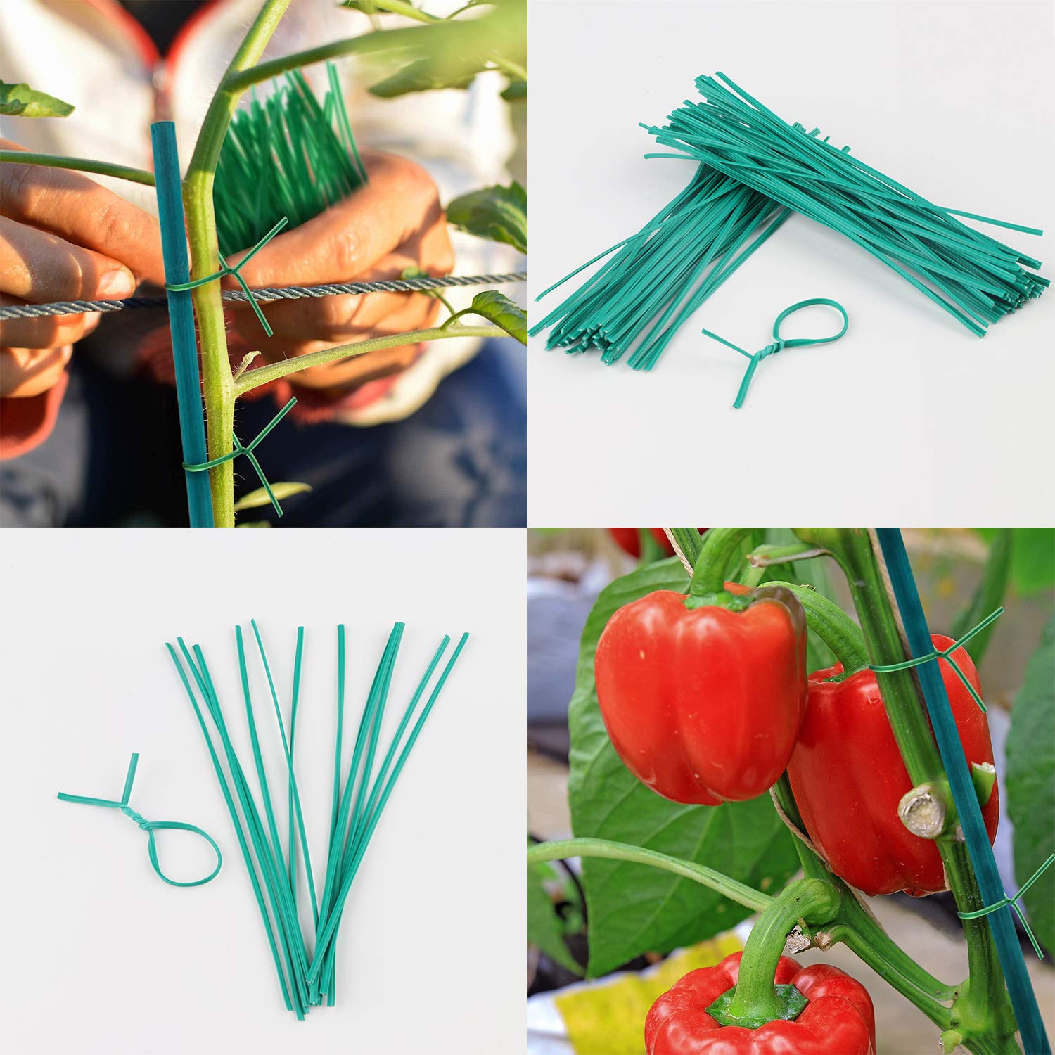 SupKing Plant Stakes,17&12 Inch Wood Plant Sticks 30 Pack Orchid Stake Sturdy Green Bamboo Plant Support Stake Gardening Floral Potted Plant Support SupKing