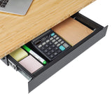 FLEXISPOT Under Desk Pull-Out Drawer Standing Desk Storage Organizer, Sliding Security Workstation Drawers (L, Black) FLEXISPOT