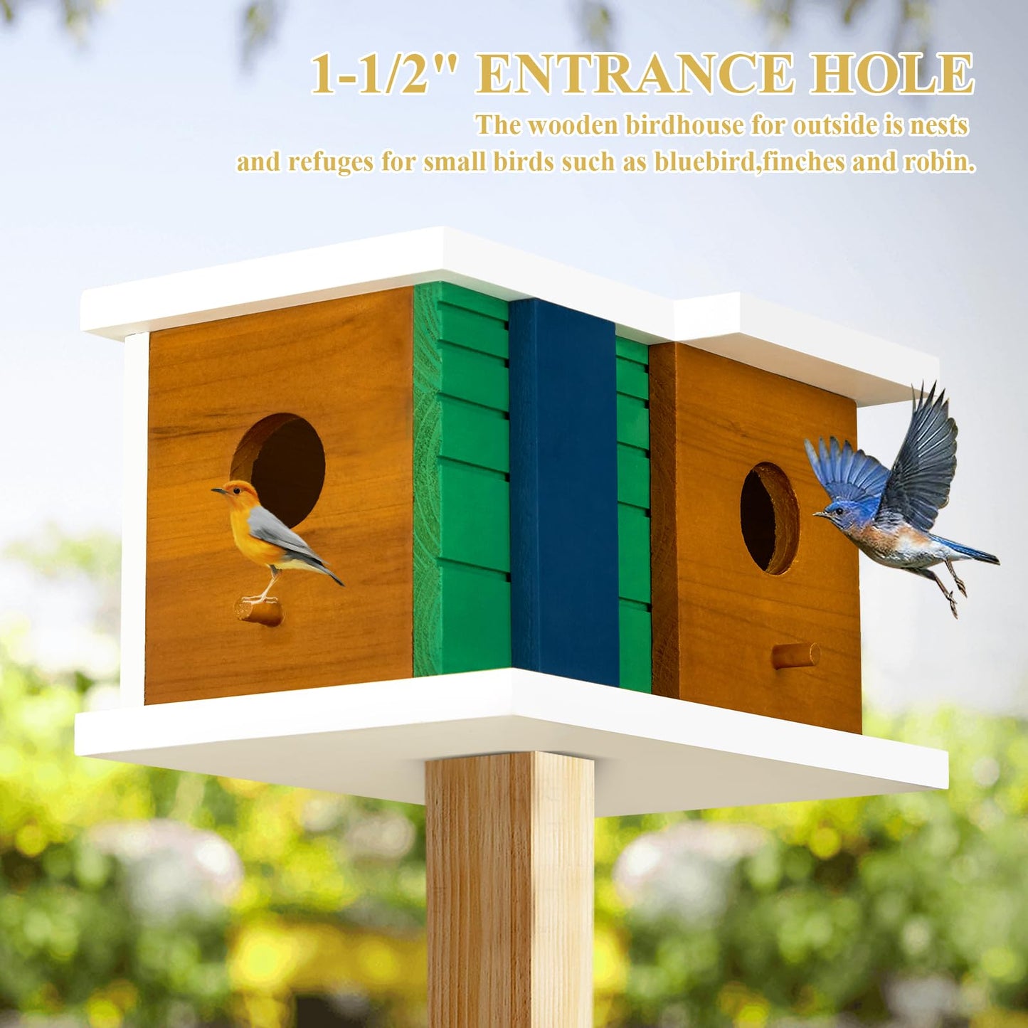 Bird House Wooden Birdhouse with 2 Holes - Bird House for Outside Ideal for Bluebird,Finch, Cardinals and Garden Wild Birds - Outdoor Hanging Bird