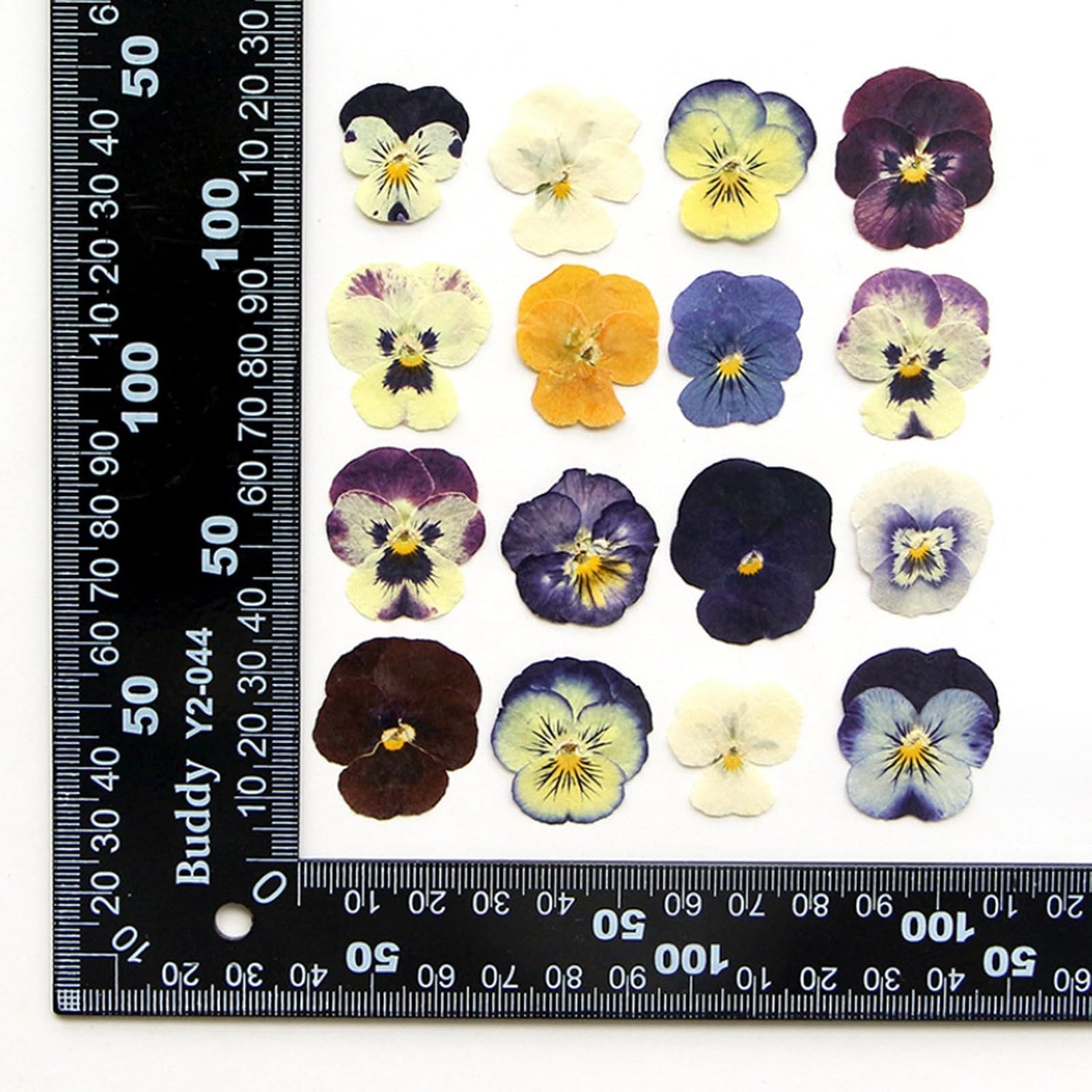 54 Pcs Dried Pressed Flowers for Resin DIY Art Crafts Natural Dry Floral Epoxy Jewelry Real Flower Decor Cakes Phone Cases Candles Handmade Soap TopFunny