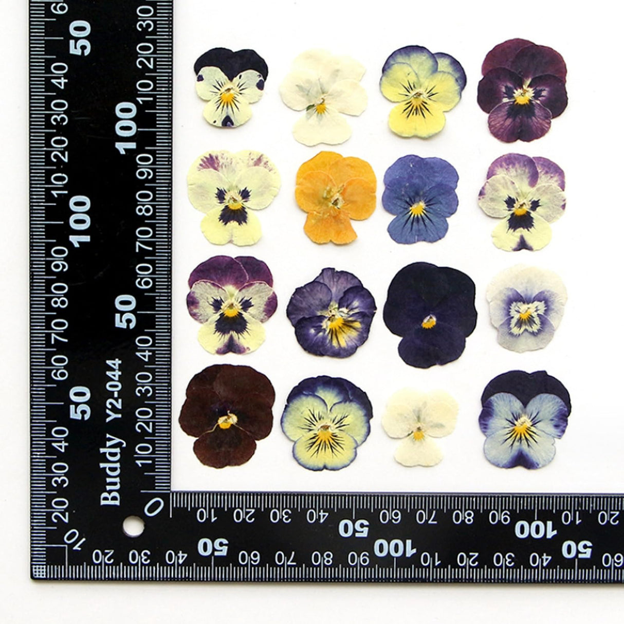 54 Pcs Dried Pressed Flowers for Resin DIY Art Crafts Natural Dry Floral Epoxy Jewelry Real Flower Decor Cakes Phone Cases Candles Handmade Soap TopFunny