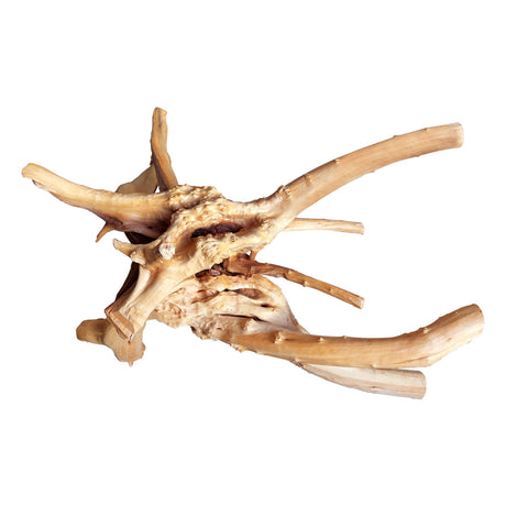 majoywoo Natural Large Driftwood for Aquarium Decor Reptile Decor, Assorted Spider Wood Branch 13-17" Long, Fish Tank Decoration majoywoo