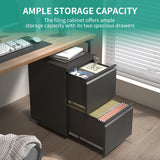 VIYET 2 Drawer Mobile File Cabinet with Lock,Under Desk Metal Filing Cabinet for Home Office,Steel Small Rolling File Cabinet with 2 Keys for VIYET