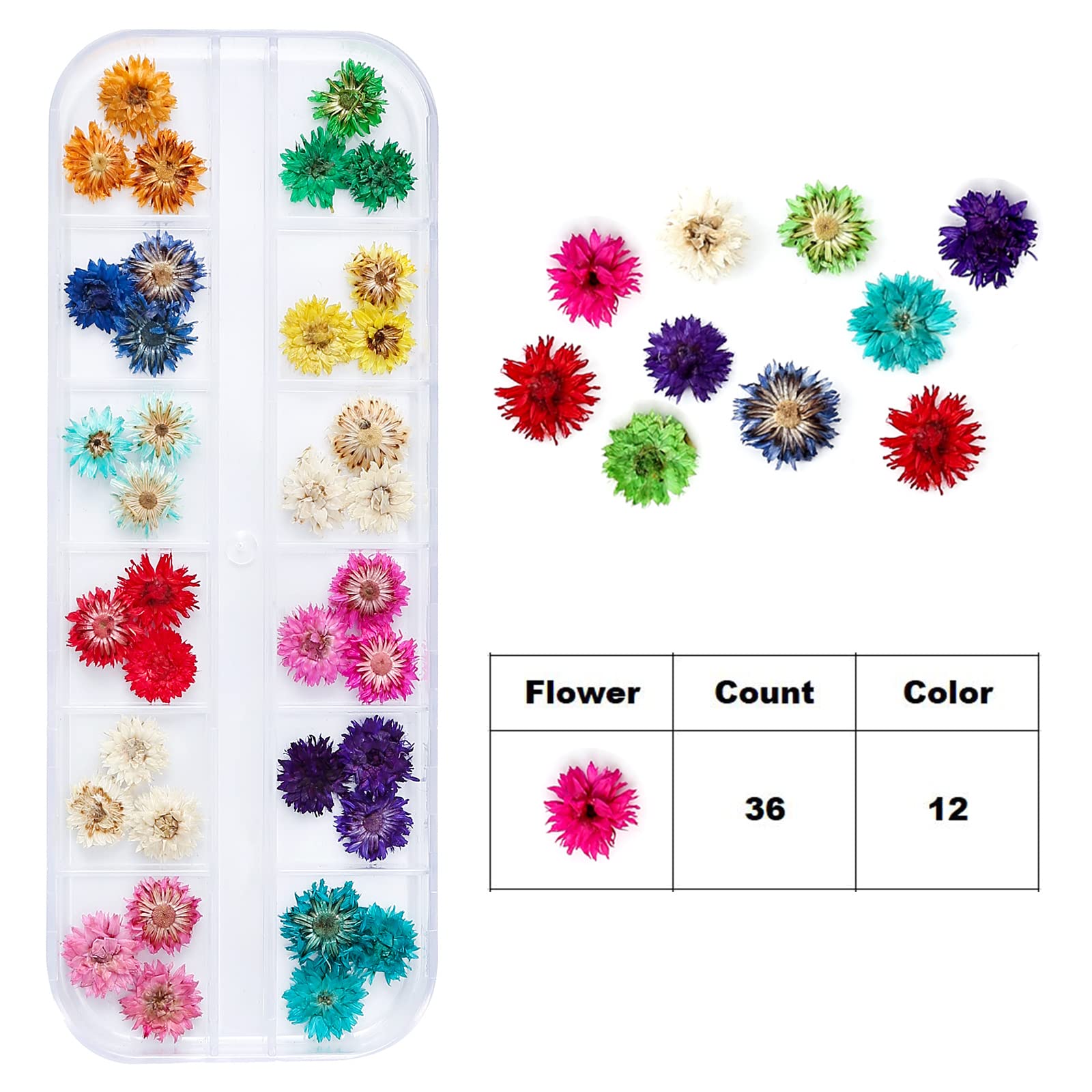 iFancer Dried Flowers for Resin Craft Nail Art Mix Small Mini Dry Flowers (Pack of 6 Boxes, About 260 PCS) - WoodArtSupply