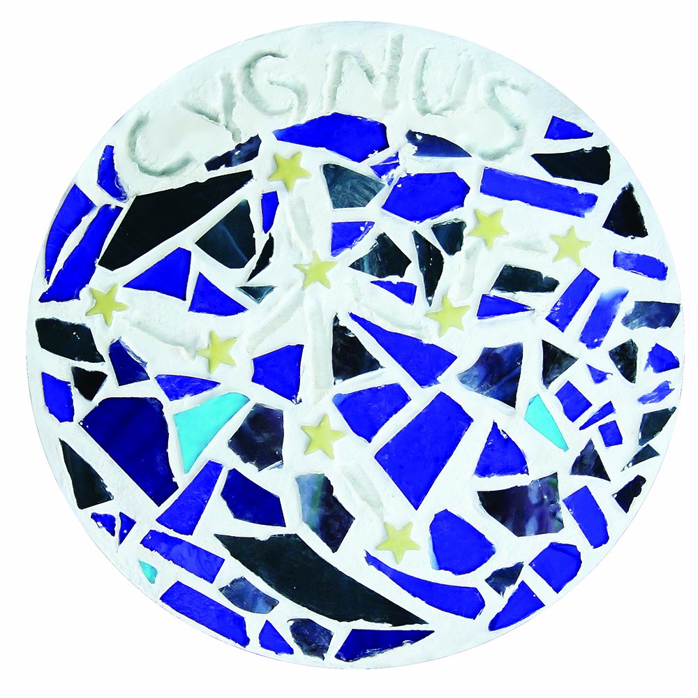 Diamond Tech Create N Learn Mosaic Stepping Stone Kit, Starry Night - WoodArtSupply