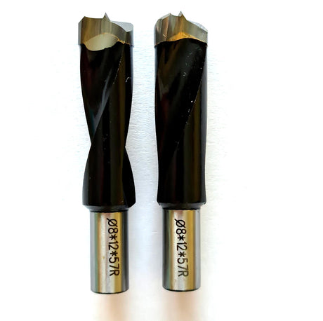 igooo Dual-Spindle Doweling Jointer DJ710， 2X10mm Drilling Bits igooo