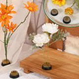 Sliner 8 Pcs Flower Frogs Round Brass Flower Holder Japanese Ikebana Vase Floral Frogs Flower Arranger Flower Fixed Tools Pin for Flower Arrangement Sliner