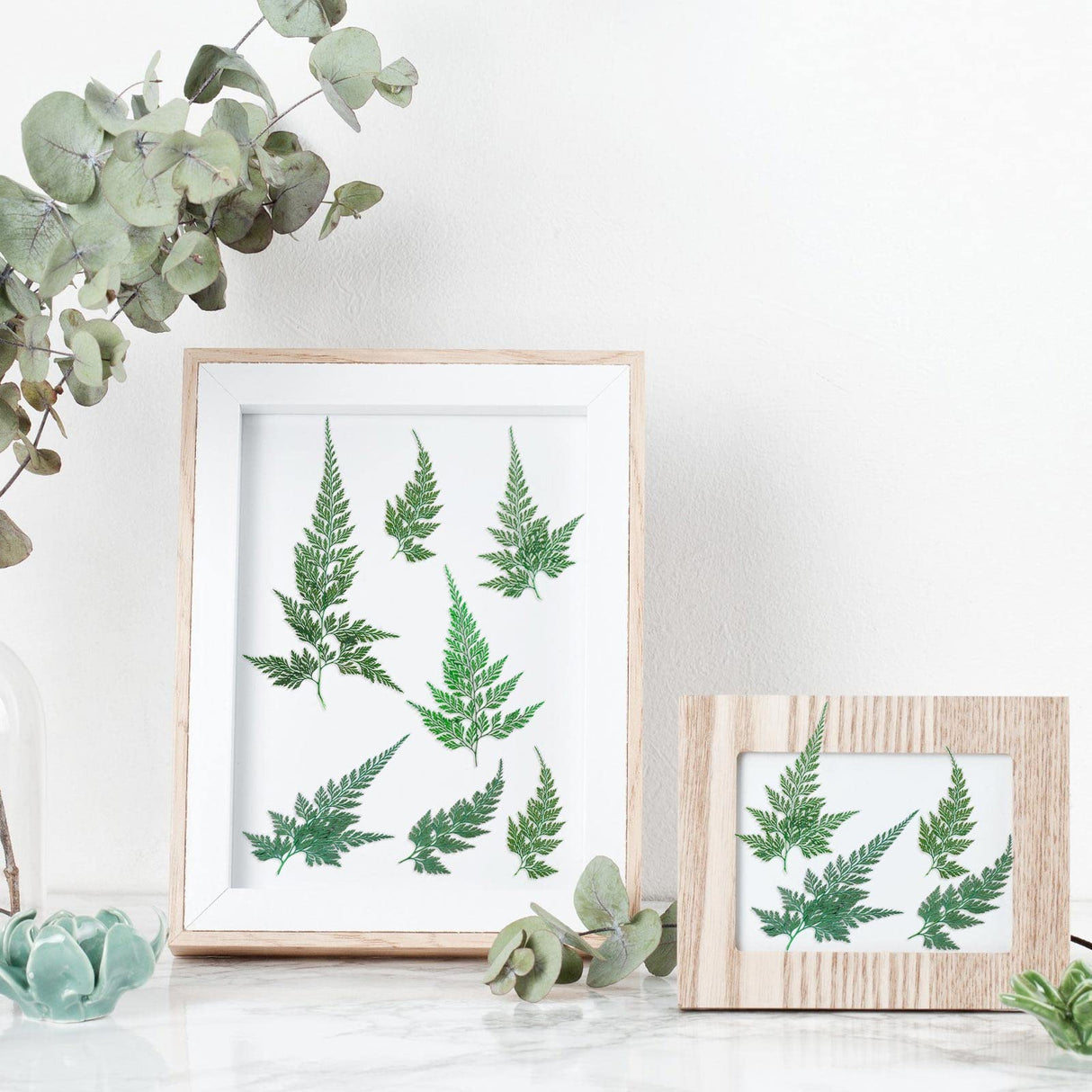 200 Pcs Dried Pressed Flowers Leaves Larkspur Flowers Small Dry Flowers Preserved Natural Ferns Real Dried Leaves Plant Leaf for Resin Arrangements Fumete