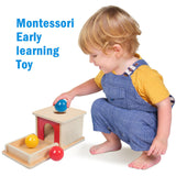 Adena Montessori Full Size Object Permanence Box with Tray Three Balls Montessori Toys for 6-12 Month Infant 1 Year Old Babies Toddlers Adena Montessori