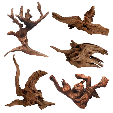 5Pcs Driftwood Branches Aquarium Wood Decoration Natural Fish Tank Habitat Decor Wood for Lizard Assorted Size,Small Hamiledyi