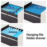 DEVAISE 2-Drawer Mobile File Cabinet with Lock, Commercial Vertical Cabinet in White DEVAISE