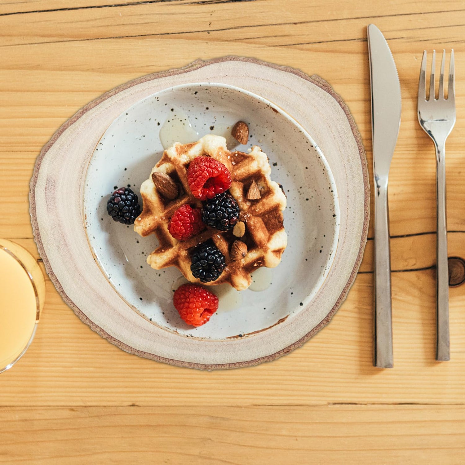 KINJOEK 6PCS 9-10 Inch Large Natural Wood Slices with Bark, Unfinished Wooden Table Coasters Circles, Blank Round Wood Ornaments Slices Bulk for KINJOEK