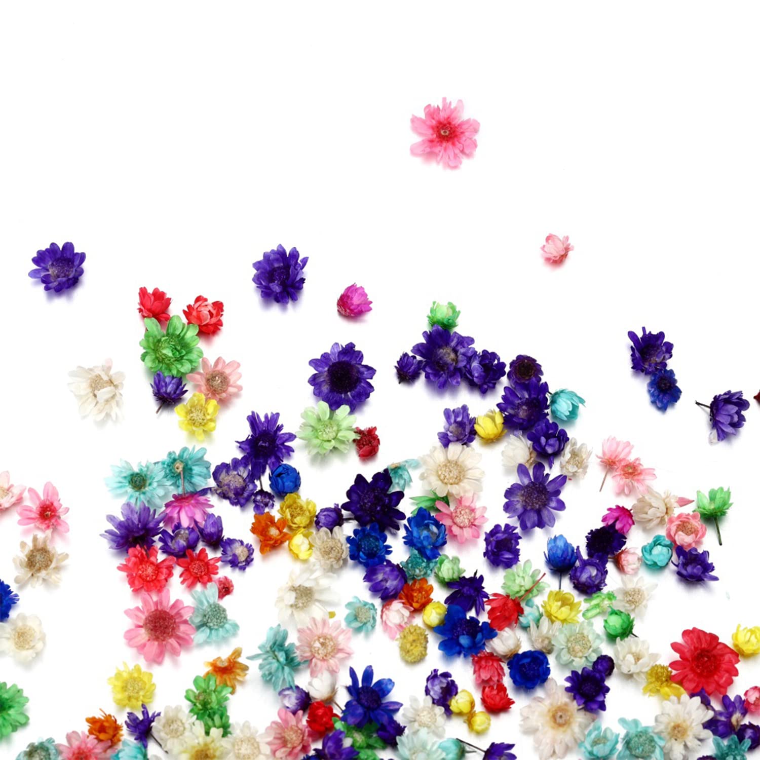 AGCFABS 1 Box Real Dried Flower Resin Mold Fillings UV Expoxy Flower Natural Little Star Flower Head Crystal Epoxy Filler for Epoxy Resin Molds AGCFABS