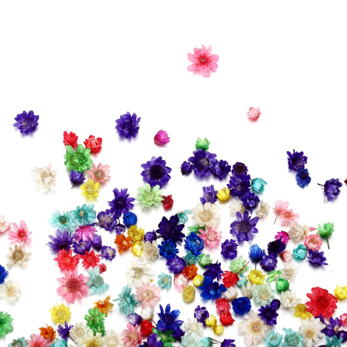 AGCFABS 1 Box Real Dried Flower Resin Mold Fillings UV Expoxy Flower Natural Little Star Flower Head Crystal Epoxy Filler for Epoxy Resin Molds AGCFABS