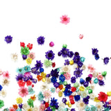 AGCFABS 1 Box Real Dried Flower Resin Mold Fillings UV Expoxy Flower Natural Little Star Flower Head Crystal Epoxy Filler for Epoxy Resin Molds AGCFABS