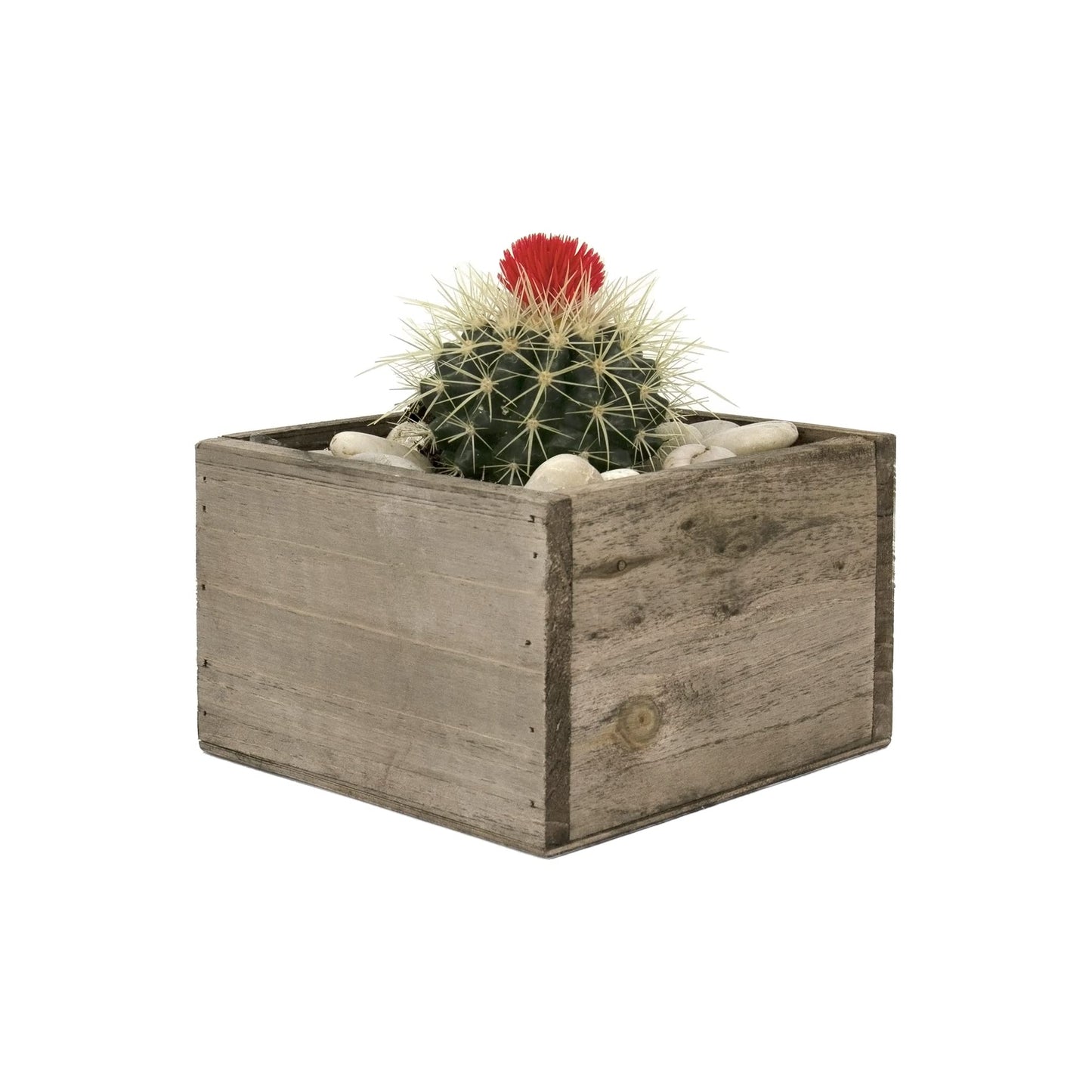 CYS EXCEL Wood Square Planter Box with Removable Plastic Liner (H:4" Open:6"x6") | Multiple Size Choices Wooden Planters | Indoor Decorative Flower - WoodArtSupply