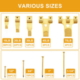 KURUI 303Pcs Picture Hanging Kit, Picture Hangers Assorted Kit With Heavy Duty Wall Hooks, Sawtooth, Picture Wire, D Rings, Hardware Nails, Eye Hooks KURUI