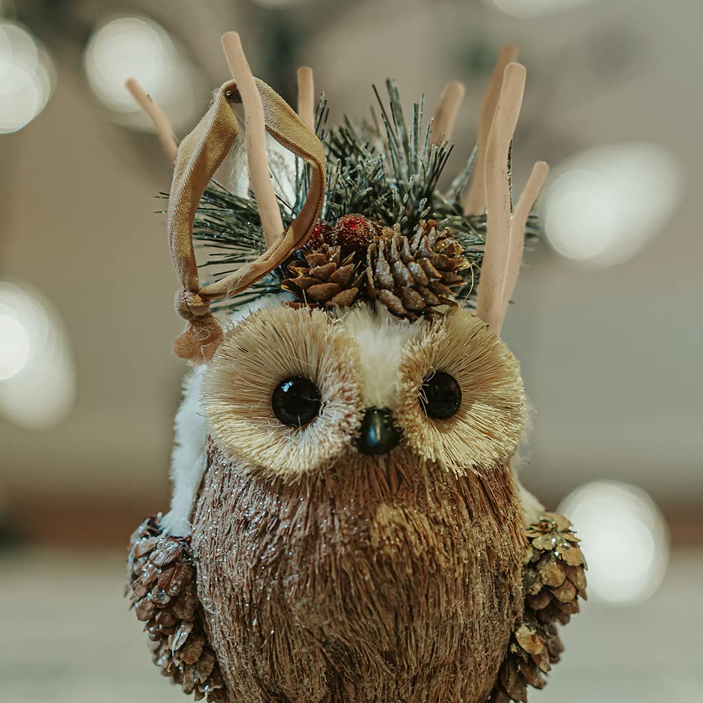 Harilla 50x Natural Driftwood Branches, Natural Driftwood Pieces, Natural Twigs Sticks for Crafts, Home Decoration, Model Building, DIY Ornament, Harilla