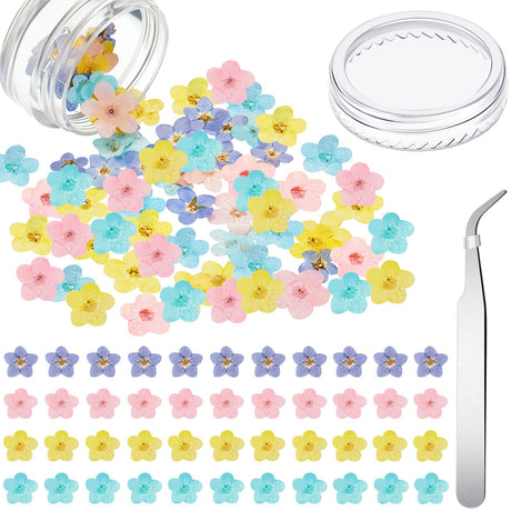 Natural Forget Me Not Dried Flowers Real Dried Pressed Flowers Don't Forget Me Dried Flowers for Jewelry Making with Tweezer for Nail Art Candle Tallew
