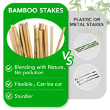 SWANGSA 55 Pack Bamboo Stakes for Plant 5 Feet, Bamboo Sticks for Garden Plant Support Stakes Poles for Tomatoes, Beans, Flowers, Trees, Indoor and SWANGSA