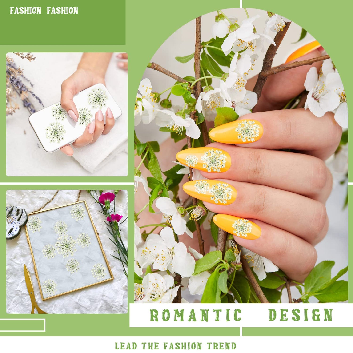 200 Pcs Pressed Dried Flowers for Resin Art Ammi Majus Natural Pressed Dried Flower Dry Flowers for Crafts DIY Wedding Home Decor Scrapbooking Gift Fabbay