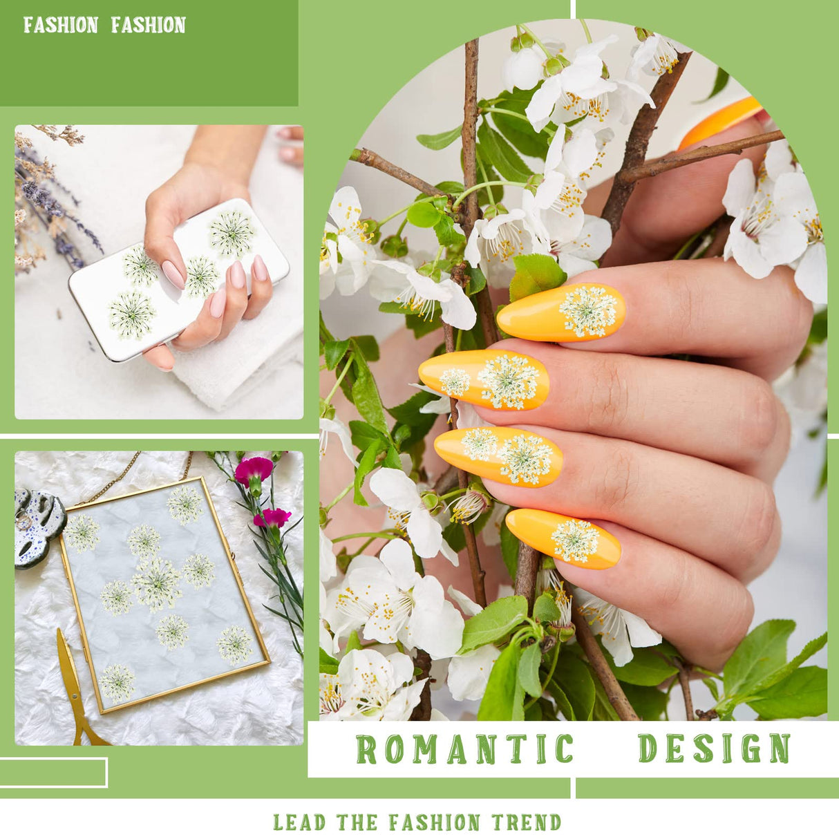 200 Pcs Pressed Dried Flowers for Resin Art Ammi Majus Natural Pressed Dried Flower Dry Flowers for Crafts DIY Wedding Home Decor Scrapbooking Gift Fabbay