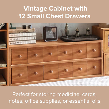 Vintage Desktop Storage Chest with 12 Drawers - Desktop Chest Drawer for Storage and Organization - Solid Wood Medicine Cabinet for Tabletop - Woodaholic