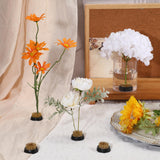 Sliner 8 Pcs Flower Frogs Round Brass Flower Holder Japanese Ikebana Vase Floral Frogs Flower Arranger Flower Fixed Tools Pin for Flower Arrangement Sliner