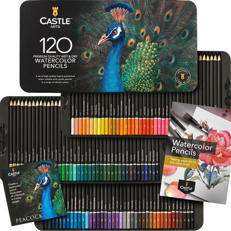 Castle Art Supplies 120 Watercolor Pencils Set | Quality Vibrant Pigments | Draw and Paint at Same Time | For Adult Artists and Professionals | Castle Art Supplies