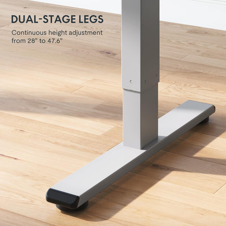 FLEXISPOT Height Adjustable Desk 55 x 28 inch Electric Standing Desk Whole-Piece Desk Board Stand Up Desk for Home Office (Gray Frame + 55" Natural FLEXISPOT