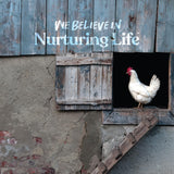 Manna Pro Fresh Flakes | Chicken Coop Bedding | Pine Shavings for Chicken Bedding | 4 Cubic Feet Manna Pro