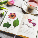 223 Pieces Real Dried Flowers Leaves and Butterfly Stickers Set, Multiple Pressed Dry Flowers Colorful Natural Daisies Flowers and Adhesive Butterfly WoodArtSupply