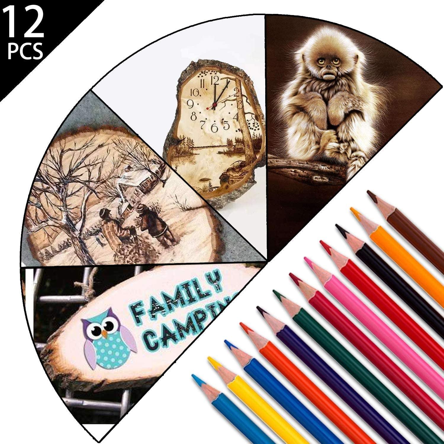 96Pcs Wood Burning Kit, Professional Wood Burner Pen Tool, Creative Tool Set Adjustable WoodArtSupply