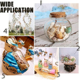 1400-1500Pcs Sea Shell Beads 7-12Mm Tiny Crushed Shells Miniature Shells NO Hole Seashells Ocean Spiral Seashells for Resin Candle Home Party Wedding WoodArtSupply