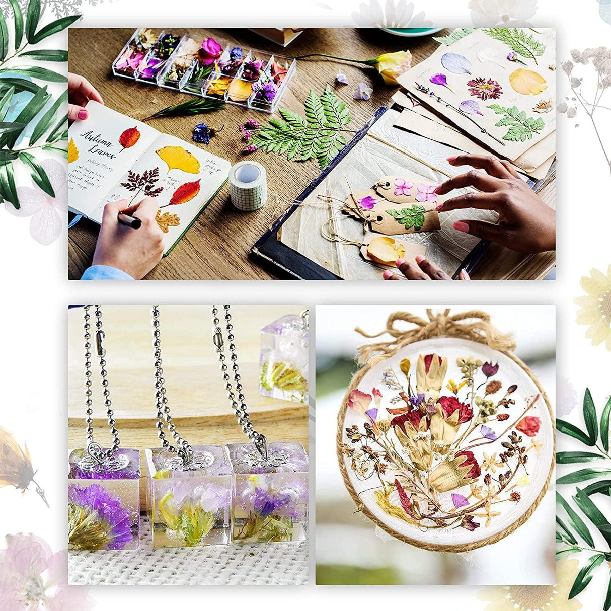 2 Random Boxes Pressed Flowers Dried Pressed Flowers for Resin Real Dried Flower Leaves Mixed Pressed Flower Colorful Real Dried Flower with Tweezers WoodArtSupply