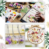 2 Random Boxes Pressed Flowers Dried Pressed Flowers for Resin Real Dried Flower Leaves Mixed Pressed Flower Colorful Real Dried Flower with Tweezers WoodArtSupply