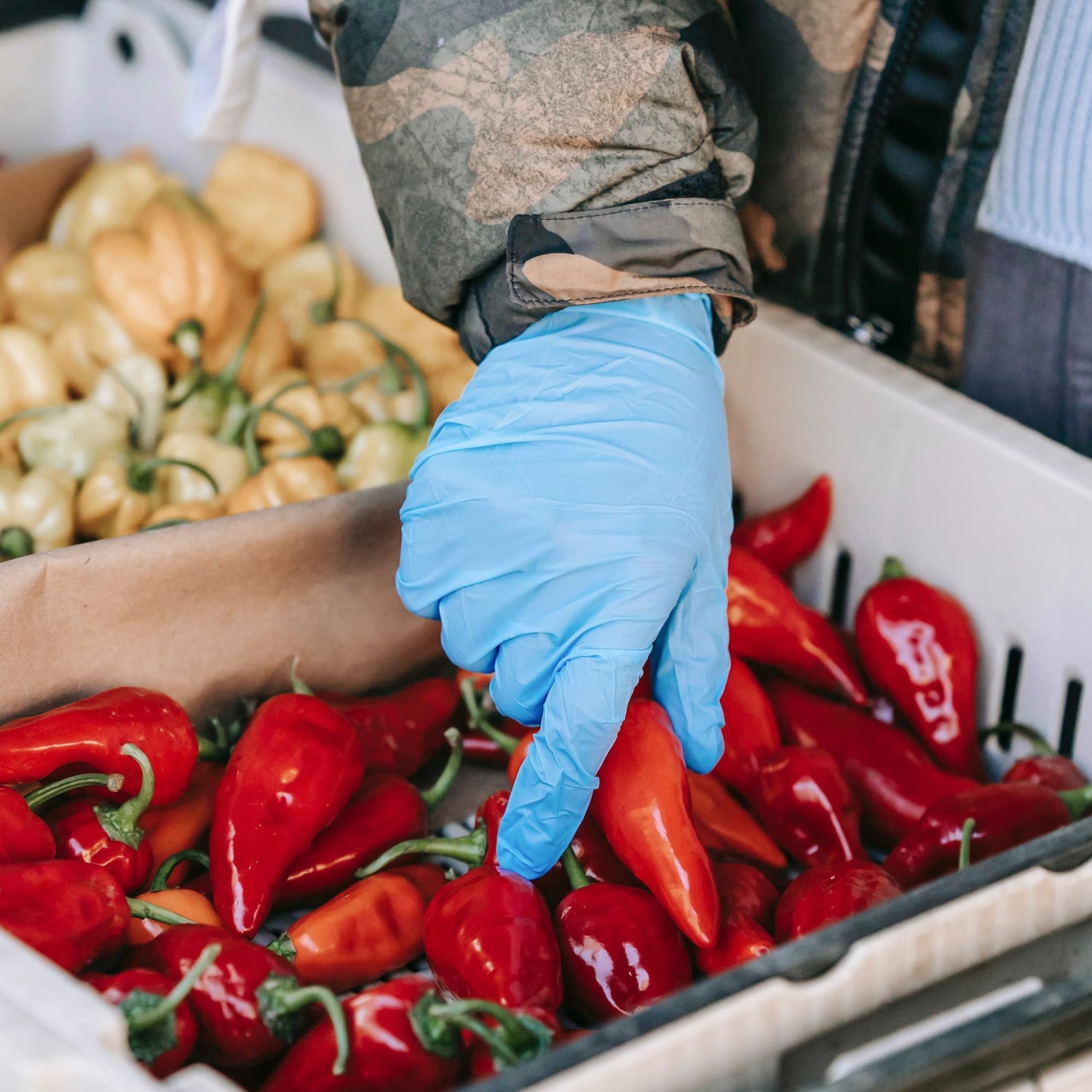 SwiftGrip Disposable Nitrile Exam Gloves, 3-mil, Blue, Nitrile Gloves Disposable Latex Free, Medical Gloves, Cleaning Gloves, Food-Safe Rubber SwiftGrip