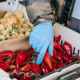 SwiftGrip Disposable Nitrile Exam Gloves, 3-mil, Blue, Nitrile Gloves Disposable Latex Free, Medical Gloves, Cleaning Gloves, Food-Safe Rubber SwiftGrip